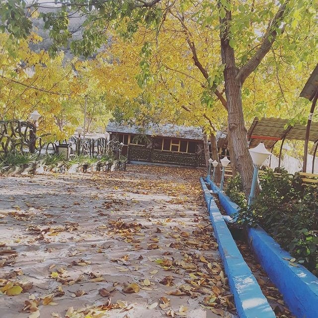 4ee3c457d543f704888fc2bd3ceaa207_14_11zon