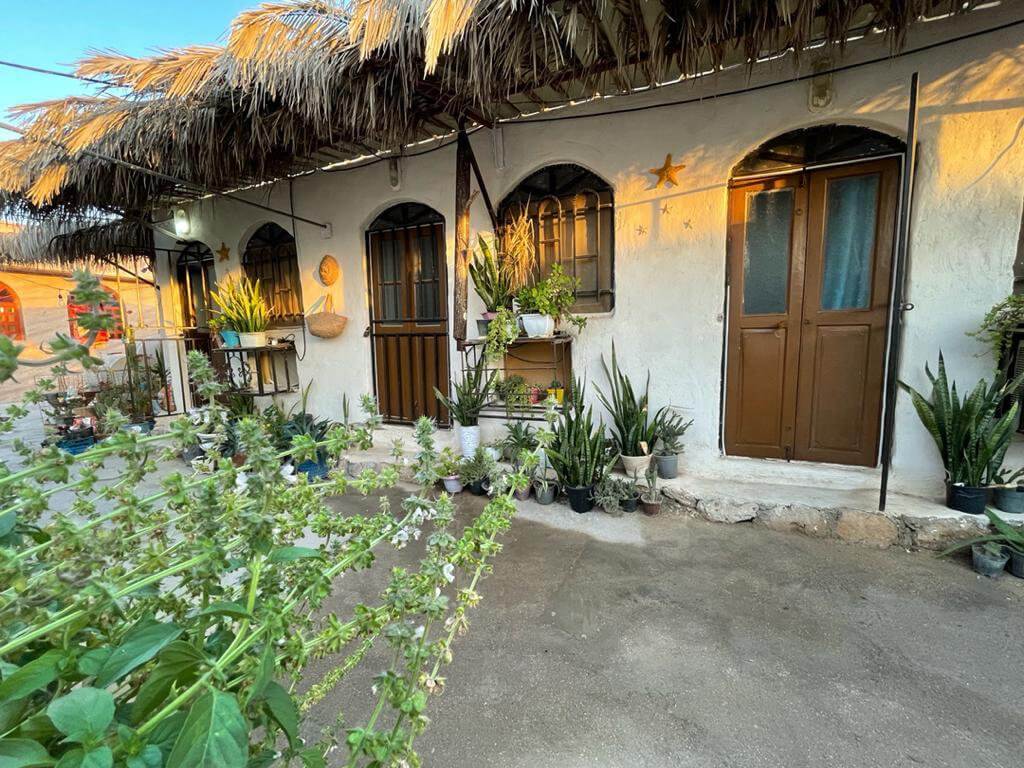 -بومگردی-ستاره-دریایی