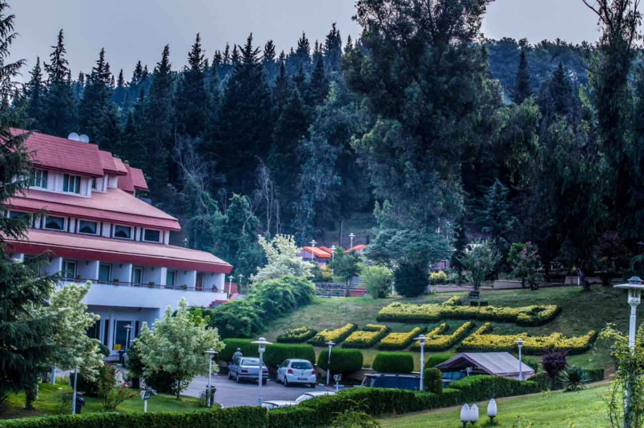 -جنگلی-سالار-دره-ساری